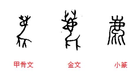 鹿 字|鹿字形演变字源